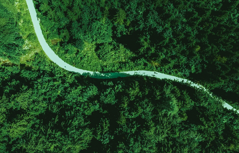 �����������������������ƶ���ɫ����