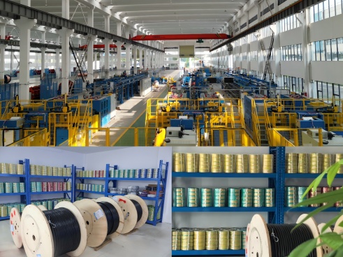 1753694337589243XDOG.jpg 7adaaa660ea389651726db24f9599d5(1).jpg