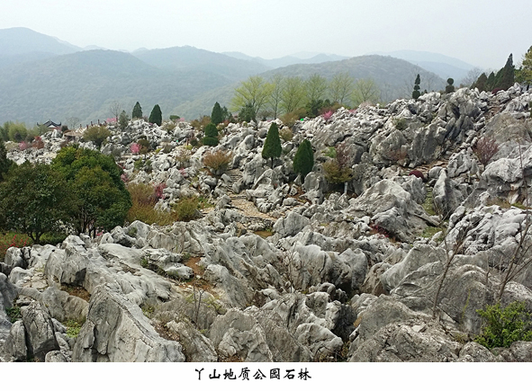 �Ƿ�����(�й���)-�ٷ���վ