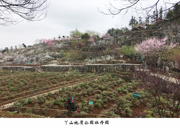 �Ƿ�����(�й���)-�ٷ���վ