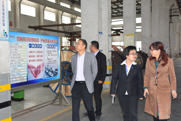 �Ƿ�����(�й���)-�ٷ���վ