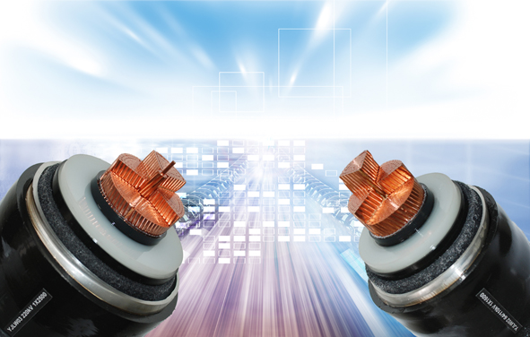 非凡国际(中国区)-官方网站